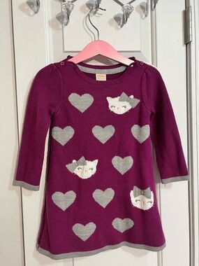 Gymboree Sweater Dress